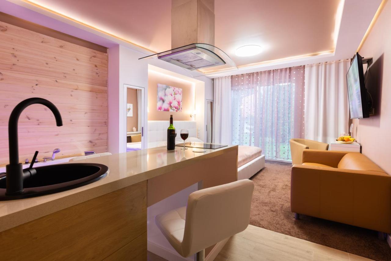 Melody De Luxe Apartment Michalowice  Extérieur photo